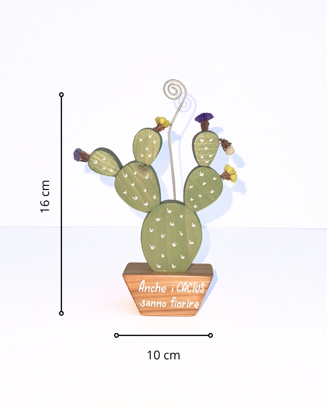 Cactus portafoto