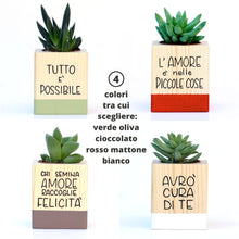 Carica l'immagine nel visualizzatore di Gallery, Succulenti