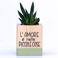 Carica l'immagine nel visualizzatore di Gallery, Succulento verde oliva