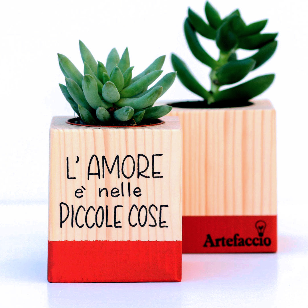 Succulento rosso mattone