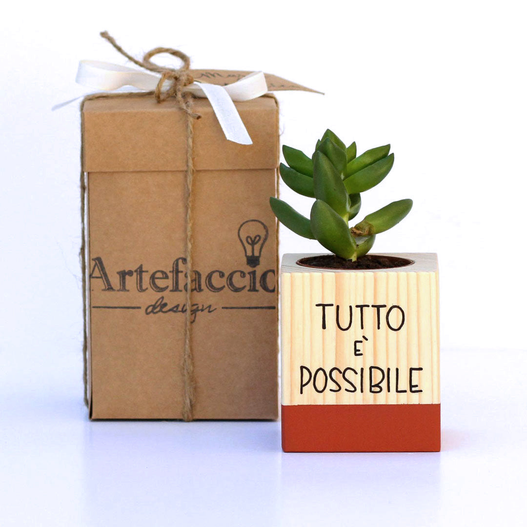 Succulento rosso mattone