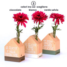 Carica l'immagine nel visualizzatore di Gallery, Casetta monofiore verde salvia