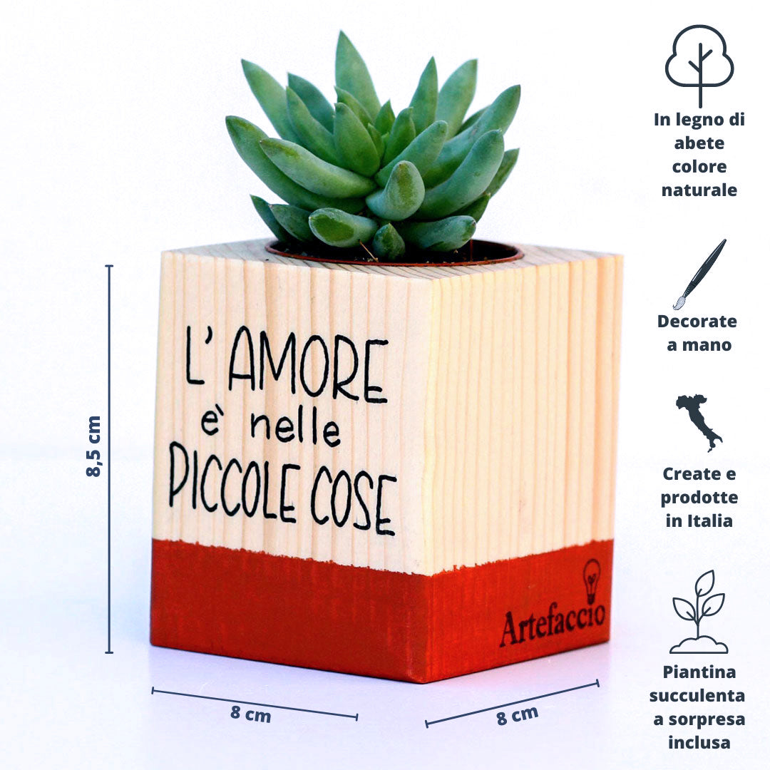 Succulento rosso mattone