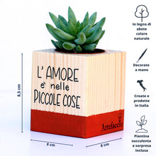 Carica l'immagine nel visualizzatore di Gallery, Succulento rosso mattone