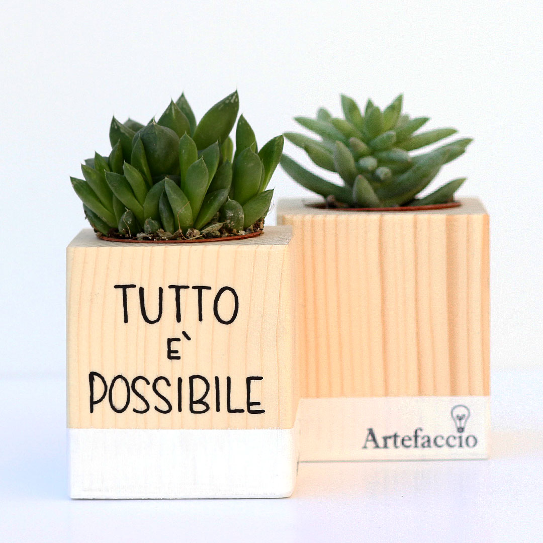 Succulento bianco
