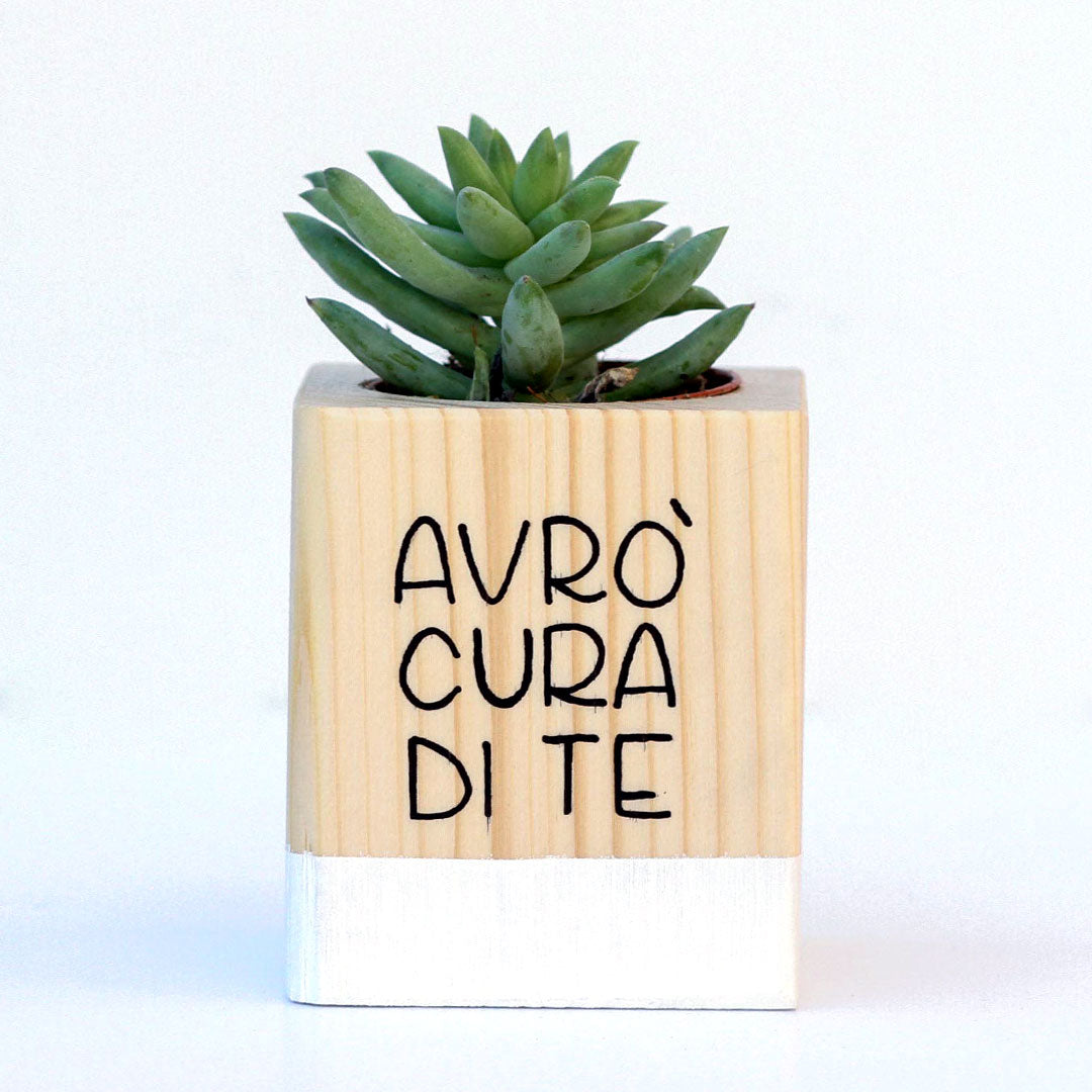 Succulento bianco
