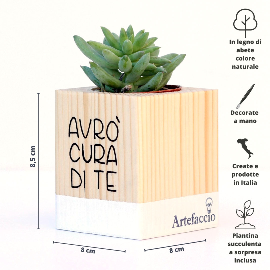 Succulento bianco