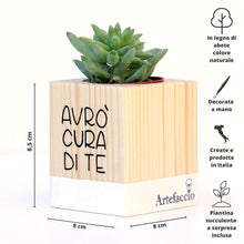 Carica l'immagine nel visualizzatore di Gallery, Succulento bianco