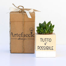 Carica l'immagine nel visualizzatore di Gallery, Succulento bianco