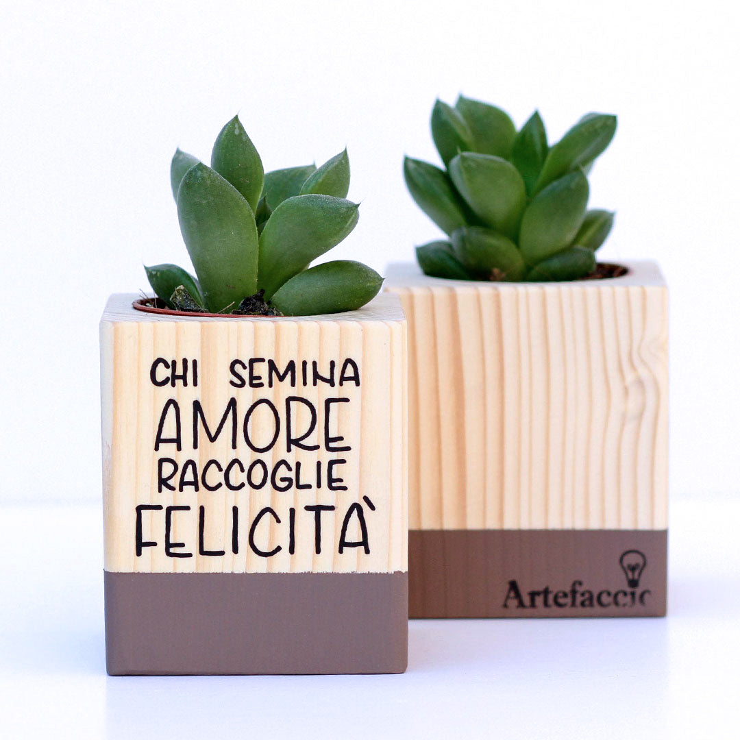 Succulento cioccolato