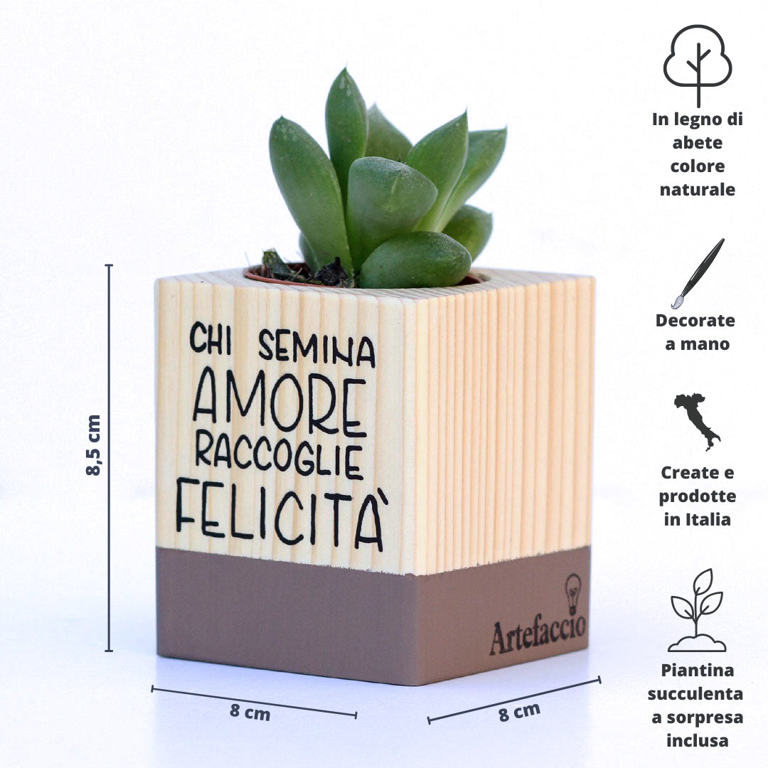 Succulento cioccolato