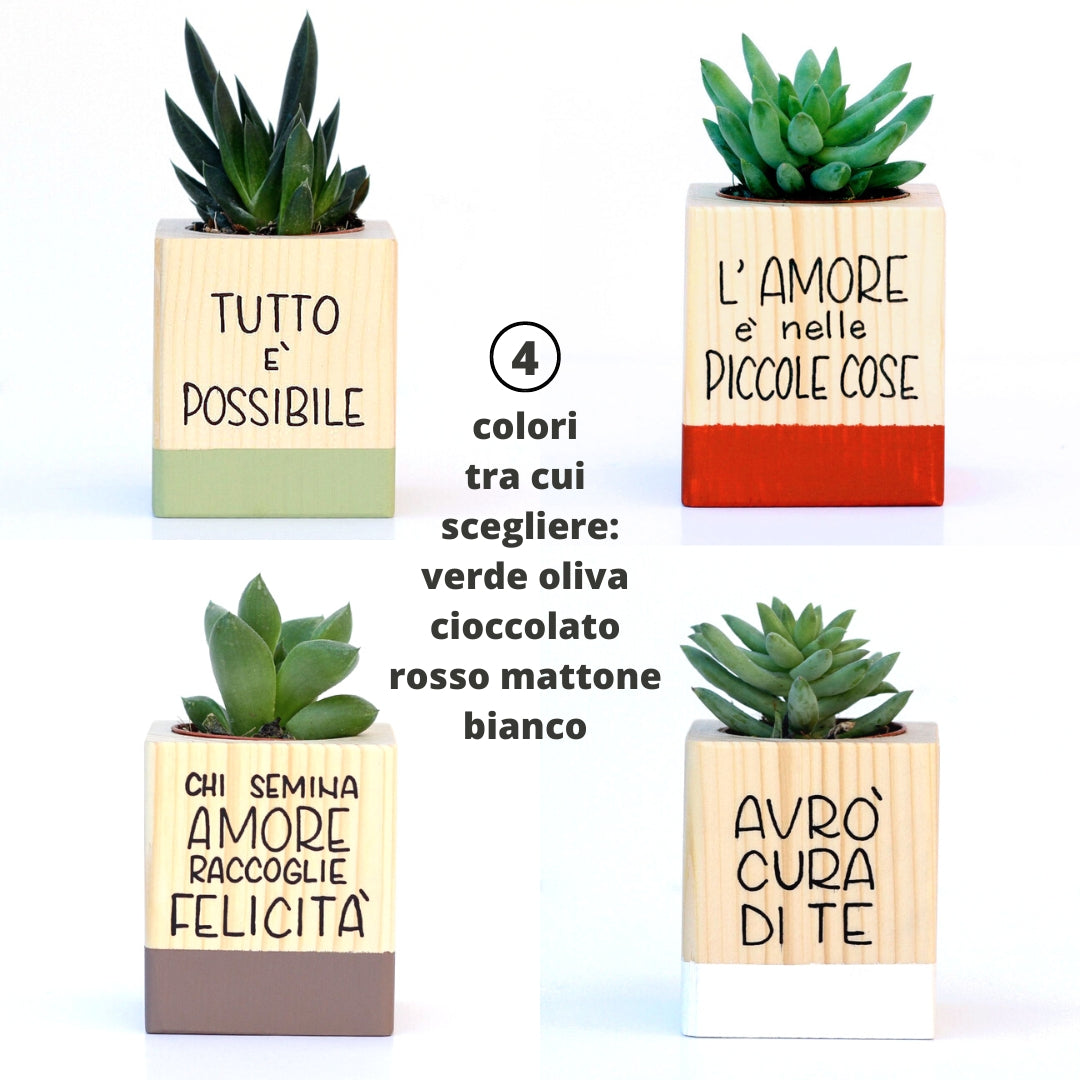 Succulento cioccolato