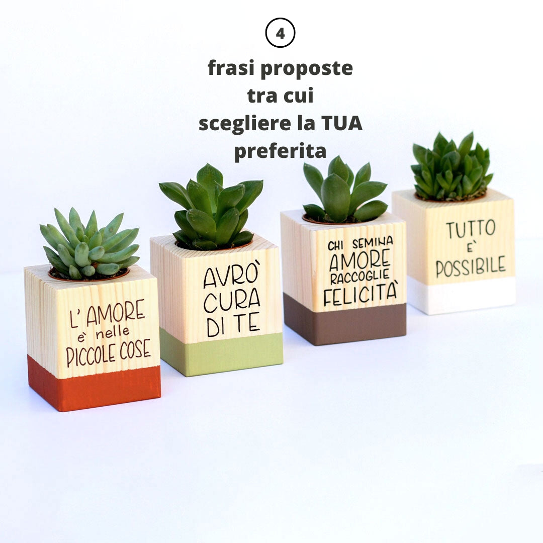 Succulento cioccolato