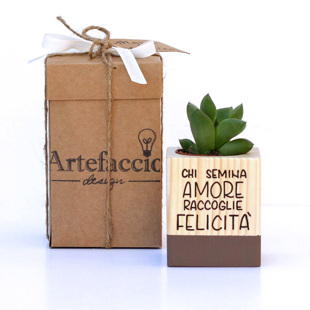 Succulento cioccolato