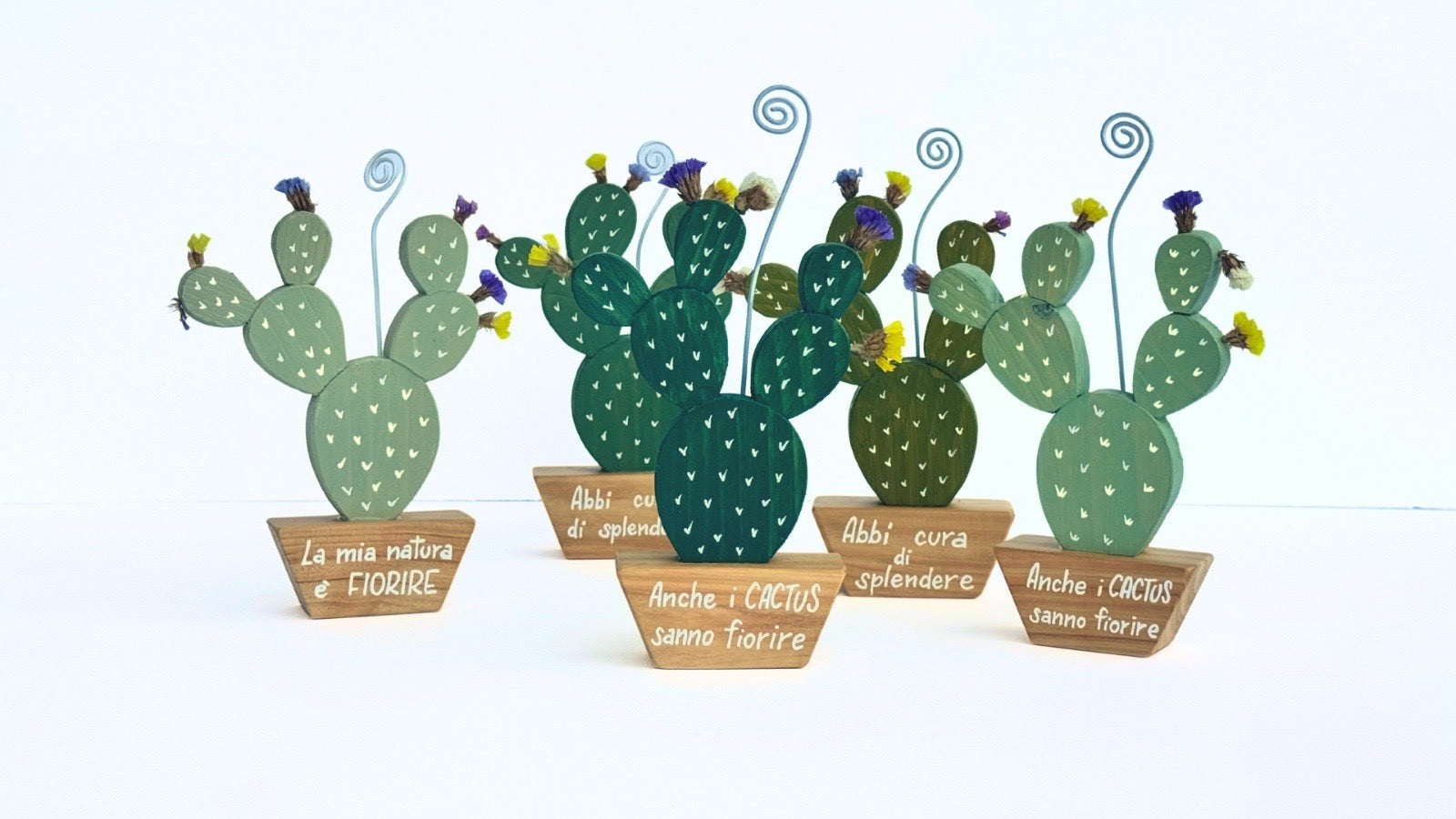 CACTUS portafoto