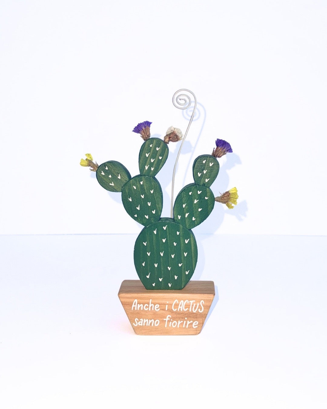Cactus portafoto