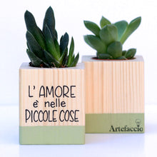 Carica l'immagine nel visualizzatore di Gallery, Succulento verde oliva
