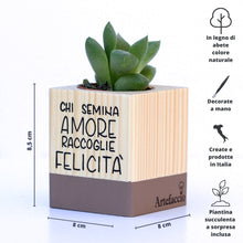 Carica l'immagine nel visualizzatore di Gallery, Succulento cioccolato
